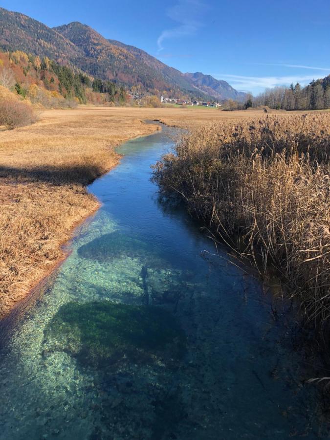 Apartmán Apartma Gams Kranjska Gora Exteriér fotografie