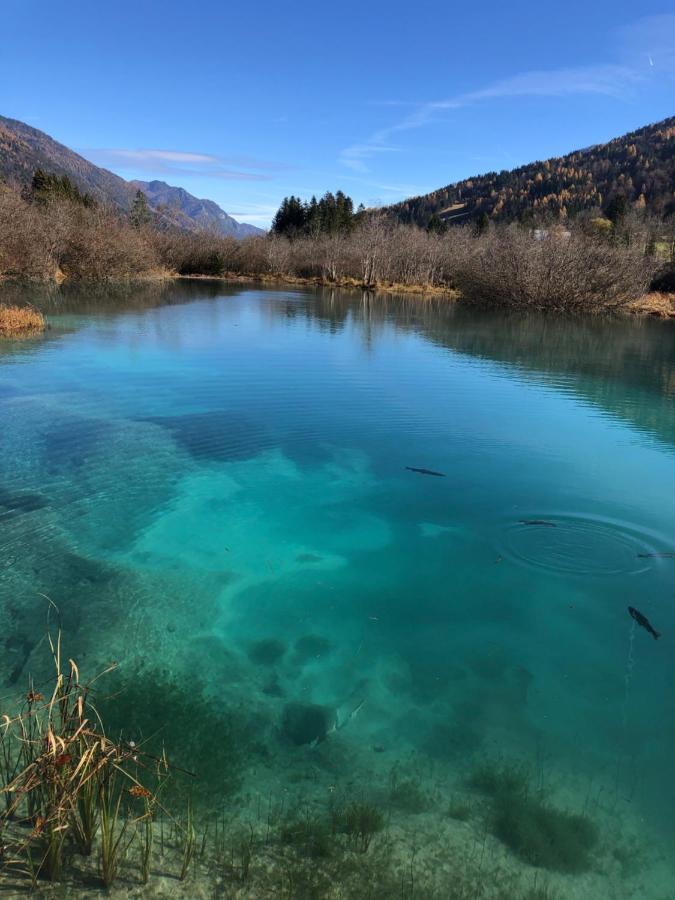 Apartmán Apartma Gams Kranjska Gora Exteriér fotografie